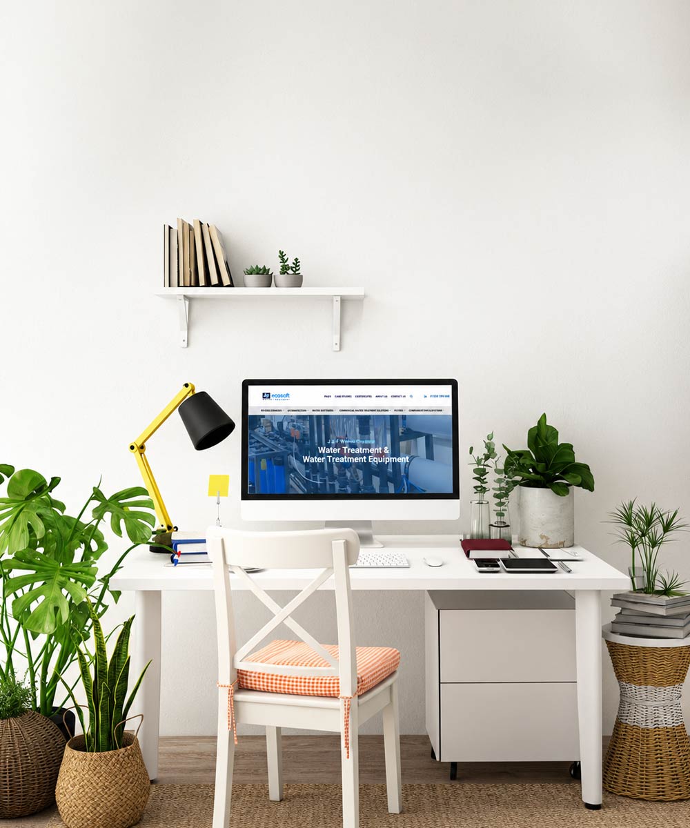 eCommerce website design by LV Media